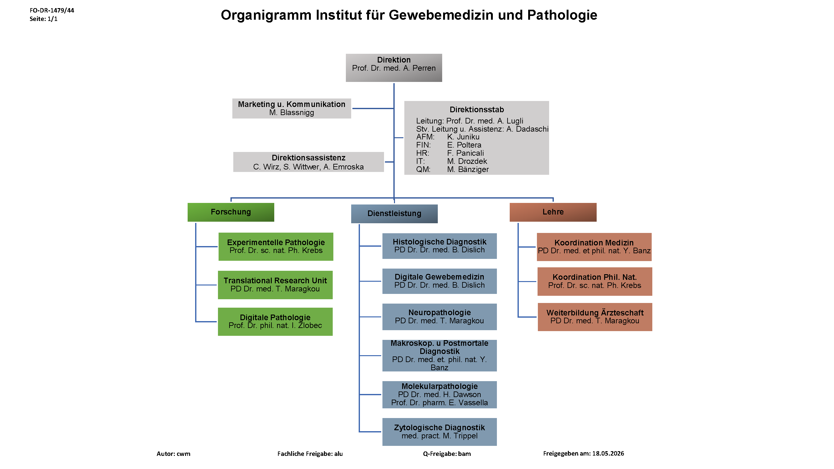 Organigramm