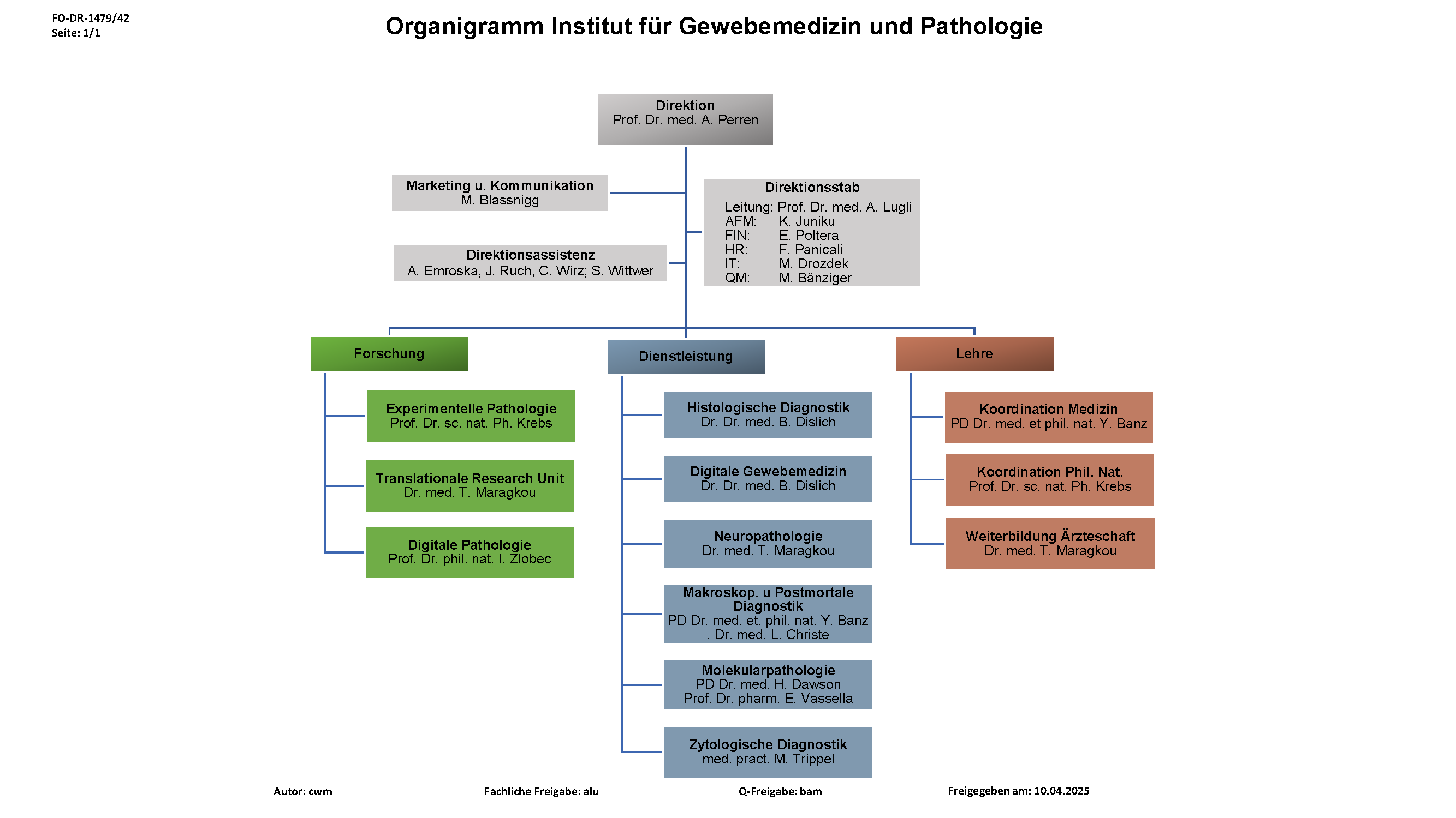 Organigramm